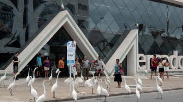 Semana Santa: Mercado de Peixes de Santos abre especialmente nesta segunda-feira 