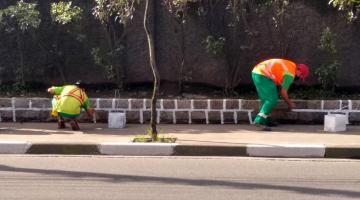 dois homens pintam jardineira junto a calçada. #paratodosverem