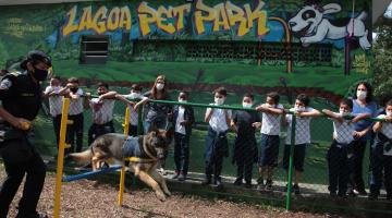 Cachorro pula em obstáculo na frente de crianças #paratodosverem