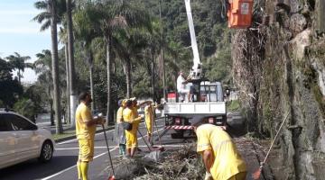 Muro de contenção passa por manutenção na Av. Getúlio Vargas