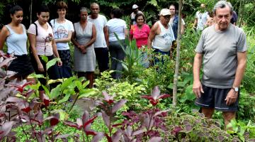 Botânico de Santos realiza minicurso de ervas medicinais