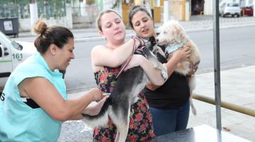 Vacinação antirrábica entra na reta final 