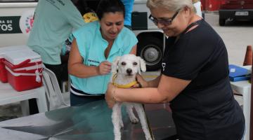 Antirrábica segue em postos fixo e volantes