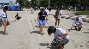 Verão terá ações de limpeza e educação na praia