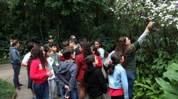 Educação ambiental do Orquidário de Santos completa 30 anos ‘plantando’ sementes de cuidado com o planeta