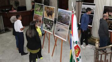 pessoas estão observando fotos em exposição. #paratodosverem