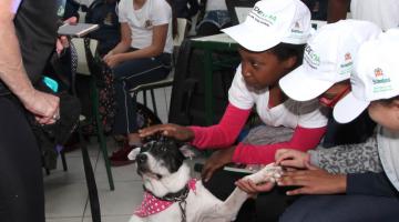 alunos fazem carinho em cachorro na sala de aula #pracegover 