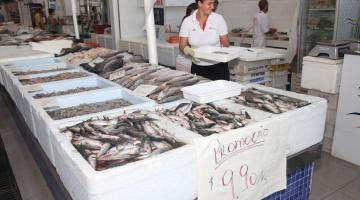 Festival oferece sardinha a R$ 9,90 no Mercado de Peixes de Santos