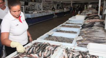 balcão com caixas de isopor cheias de peixe. #paratodosverem 