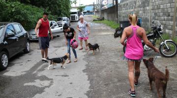 Rolê Animal permite que voluntários passeiem com cães da Codevida