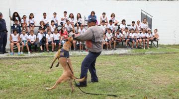 Criado espaço para apresentações no canil da Guarda Municipal