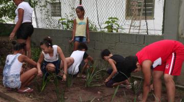 Horta ecológica ensina crianças a plantar várias espécies em Santos