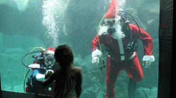 Menina interage com papai e mamãe noel mergulhando #paratodosverem