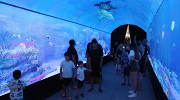 crianças e adultos dentro de túnel apreciando imagens do fundo do mar. #paratodosverem 