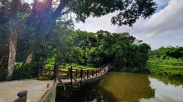 lagoa com vegetação ao fundo e pequena ponte para pedestres à esquerda. #paratodosverem