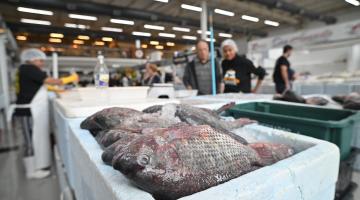 pessoas olhando peixe no mercado #paratodosverem 