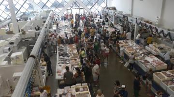 vista geral do mercado de peixe, com boxes vistos de cima e o público circulando. #paratodosverem