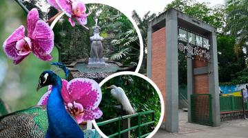 montagem mostra fachada e animais e flores do orquidário #paratodosverem