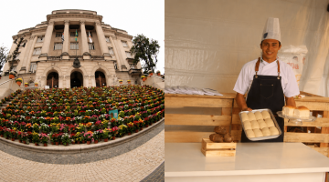 montagem mostra primavera criativa e cará festival #paratodosverem