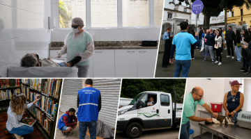montagem mostra profissionais da prefeitura trabalhando #paratodosverem