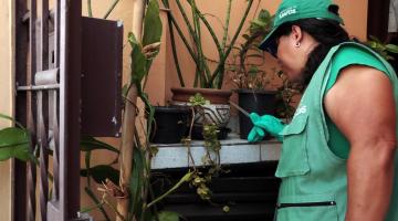 Agente olha vaso com plantas #paratodosverem 