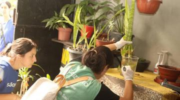 agente olha vaso #paratodosverem