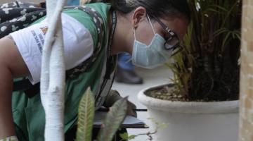 Mulher está agachada observando vaso de planta. #Paratodosverem