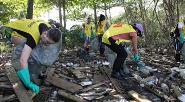 Pessoas uniformizadas estão em área de mangue coletando lixo do solo em meio à vegetação. #paratodosverem