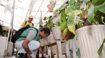 agente olha ralo #paratodosverem 