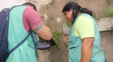 Encruzilhada recebe mutirão contra o Aedes nesta quarta-feira