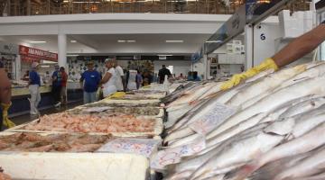 Mercado de Peixes de Santos se prepara com variedade e preços ótimos para a Semana Santa