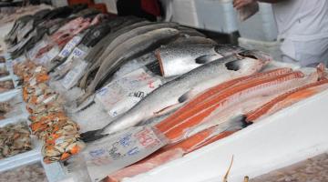 salmão exposto em box de venda. #paratodosverem