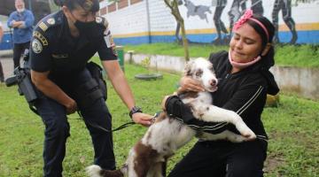 criança abraça cachorro que está preso junto a guarda #paratodoverem