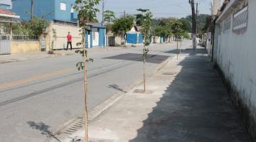 RUA COM QUATRO MUDAS DE ÁRVORES EM COVAS RECÉM-ABERTAS. #PARATODOSVEREM