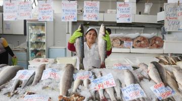 Mercado de Peixes de Santos realiza festivais oferecendo tainha e sardinha com descontos