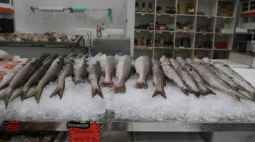 tainhas expostas em banca de mercado. #paratodosverem