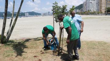 três homens estão plantando uma árvore. #paratodosverem 