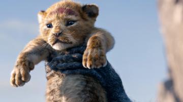 em cena de rei leão, filhote de leão é erguido pela mãe #pracegover