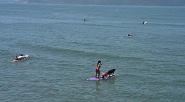 mulheres surfando #paratodosverem