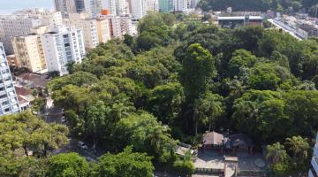 visão aérea do orquidário #paratodosverem