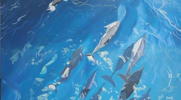 Tela da exposição no Orquidário. #Paratodosverem.