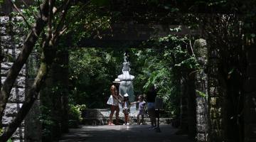 Vista do Orquidário Municipal. #Paratodosverem