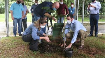 Três pessoas plantam uma muda de árvore em canteiro. #paratodosverem