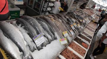 balcao com muitos peixes e camarões expostos. #praatodosverem