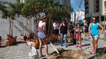 Católicos plantam árvores na Ponta da Praia. Veja galeira de fotos
