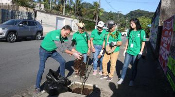 grupo de pessoas planta árvore em calçada. #paratodosverem