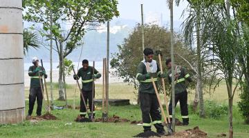 Plantio de mais de 250 árvores em Santos fortalece ações contra as mudanças climáticas
