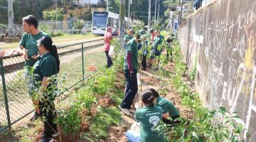 pessoas plantando arvores #paratodosverem