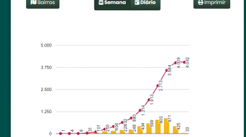 Print de gráfico sobre casos da doença. #Paratodosverem