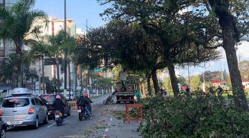 Galhos de árvore no chão em um canto da pista da praia. #paratodosverem